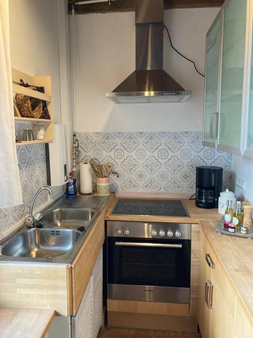 Idylle Unter Reet, Gemuetliche Ferienwohnug Appartement Haseldorf Buitenkant foto